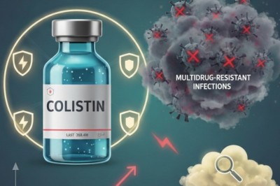 Global Colistin Market Remains Strategically Important Amid Rising Multidrug-Resistant Infections