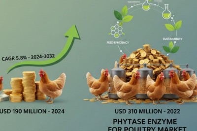 Phytase Enzyme for Poultry Market to Reach USD 310 Million by 2032, Driven by Feed Efficiency and Sustainability
