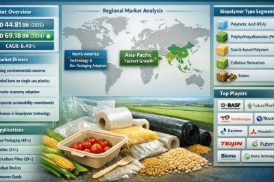 Why sustainable biopolymers market Is Expanding: Market Trends, Forecasts & Investment Potential