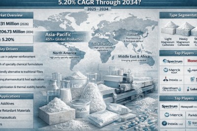 Which Are Top 10 Companies Driving Global Magnesium Carbonate Basic Market at a 5.20% CAGR Through 2034?