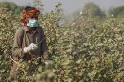 Naya Savera Online Pakistan: The Future of Agricultural Shopping