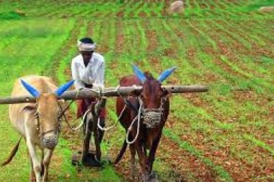 The Hidden Cost of Counterfeits: Why Buying Genuine Syngenta Products Matters