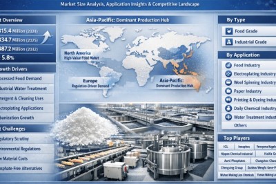 Top 10 Leading Players in the TSPP Anhydrous Market Projected to Achieve 5.8% CAGR