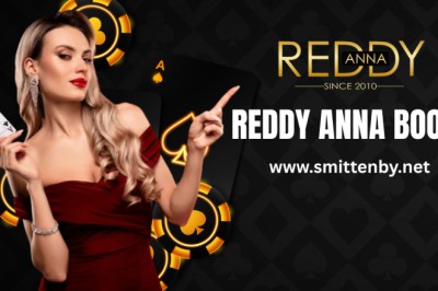 How Reddy Anna Book Keeps Platform Access Simple and Reliable