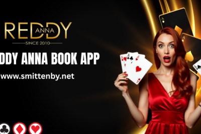 Reddy Anna Book App Features: User-Friendly and Fast Performance