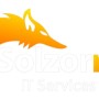 SolzorroITservices1