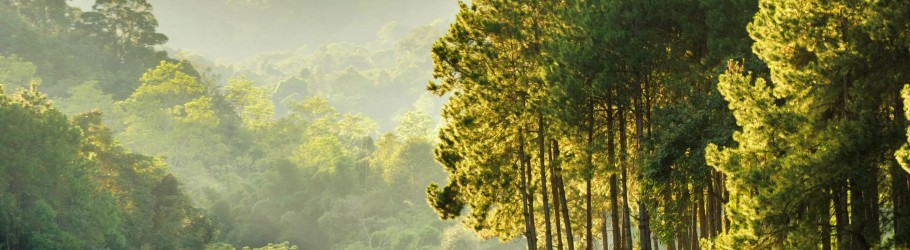 drelizabethblackburn