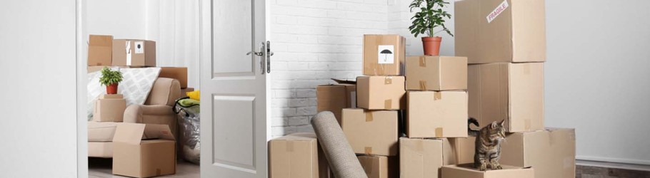 moverandpackersdubai