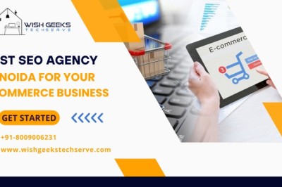 Best Ecommerce SEO Agency in India | Wish Geeks Techserve