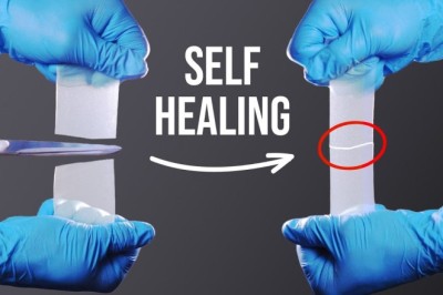 Bio-Inspired Technology: The Rise of Self-Healing Coatings
