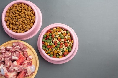 Dog Supplements 101: What Every Pet Parent Should Know