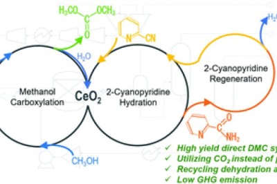 Dimethyl Carbonate Market Trends: Applications in Polycarbonate and Battery Sectors