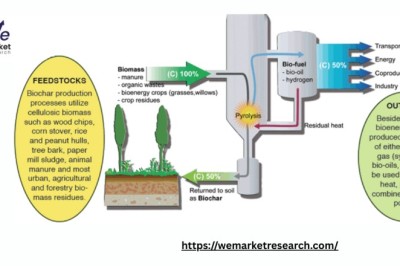 Biochar Market in Developing Regions and Emerging Economies