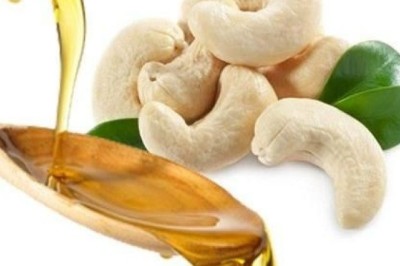 Cashew Nut Shell Oil Market in the Era of Green Chemistry
