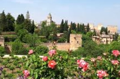 Food in Granada: A Culinary Journey through Spain's Historic Heart