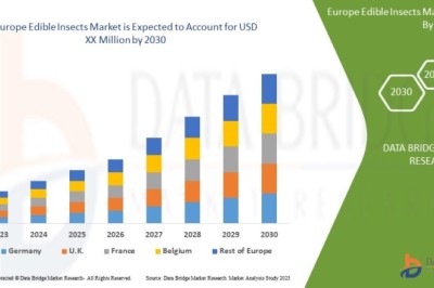 Europe Edible Insects Market Current Size, Status, and Future Projections 2030