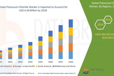 Potassium Chloride Market Current Size, Status, and Future Projections 2028