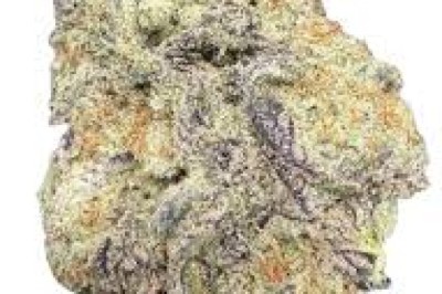 The Rising Popularity of Wholesale Weed: Trends, Benefits, and Insights