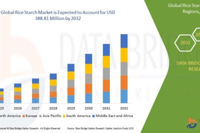 Rice Starch Market expected to reach USD 388.81 million by 2032