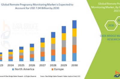 Remote Pregnancy Monitoring Market : Key Drivers and Restraints 2025 –2032