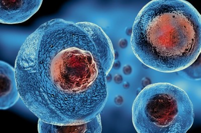 Stem Cell Therapy Singapore: Cost, Benefits, and Healing Potential