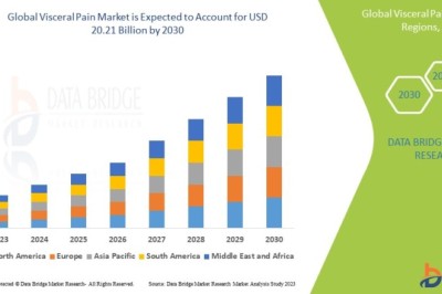 Visceral Pain Market : Trends, Analysis, and Competitive Landscape 2025 –2032