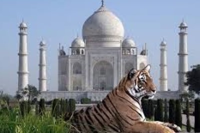 Vacation to India with Incredible Attractions Forever