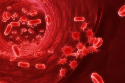 Foods That Fight Low Platelets and Build Them Back Up