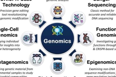Genomics in Personalized Healthcare: Global Market Trends