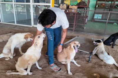 Best Dog Rescues for Disabled Dogs and the Heroes Behind Them