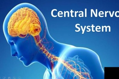 Central Nervous System Therapeutics Market Size, Share, Trends & Future Outlook 2033