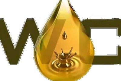 Soybean Meal Processor: An Essential Solution for High-Quality Soybean Meal Production