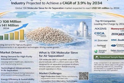 Top 10 Leading Players in 13X Molecular Sieve for Air Separation Industry Projected to Achieve a CAGR of 3.9% by 2034