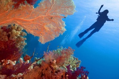 Smart Efficiency for Daily Needs