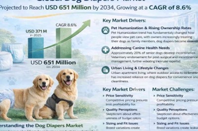 Global Dog Diapers Market Projected to Reach USD 651 Million by 2034, Growing at a CAGR of 8.6%; Key Players and Trends