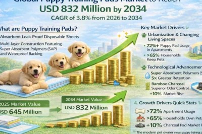 Global Puppy Training Pads Market Projected to Reach USD 832 Million by 2034, Growing at a CAGR of 3.8%; Key Players and Trends