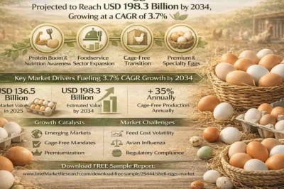 Global Shell Eggs Market Projected to Reach USD 198.3 Billion by 2034, Growing at a CAGR of 3.7%; Key Players and Trends