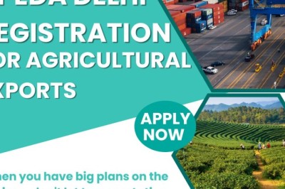 APEDA Delhi Registration Process for Export of Agricultural Goods