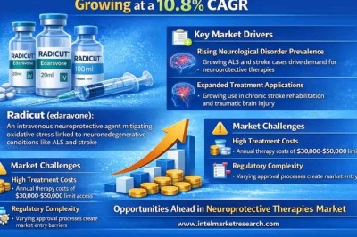    Global Radicut Market Projected to Reach USD 563 Million by 2034, Growing at a 10.8% CAGR; Key Players and Trends