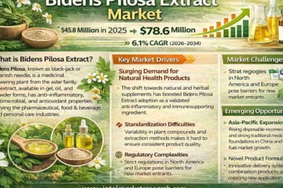 Bidens Pilosa Extract Market Size, Share & Forecast 2026–2034 | CAGR 6.1% | Key Players & Industry Trends