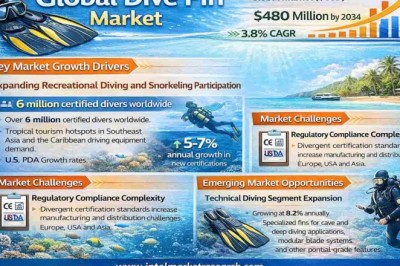 Global Dive Fin Market Projected to Reach USD 480 Million by 2034, Growing at a 3.8% CAGR; Key Players and Trends
