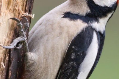 Real Estate Photography Anaheim, CA Experts