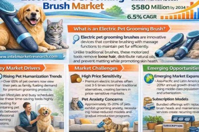 Global Electric Pet Grooming Brush Market Projected to Reach USD 580 Million by 2034, Growing at a 6.5% CAGR; Key Players and Trends