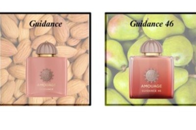Guidance 46
