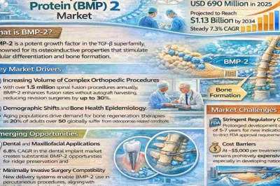 Bone Morphogenetic Protein (BMP) 2 Market to Grow at a 7.3% CAGR from 2026 to 2034 – Key Companies to Watch