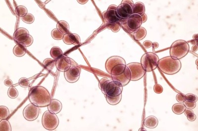 A Complete Guide to Enfield STD Clinic in Dubai