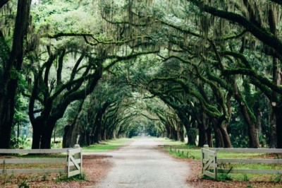 Belvidere Funeral Home Provides Affordable Cremation Options