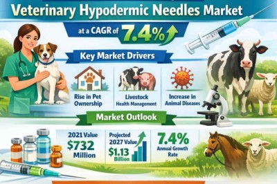 Rising Demand for Animal Healthcare Boosting the Veterinary Hypodermic Needles Market at a CAGR of 7.4%