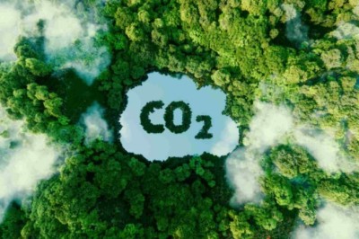 How Can Carbon Emissions Calculations Support Long-Term Climate Strategies?