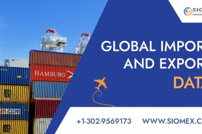 Why Import Export Data Is the Backbone of Modern Global Business